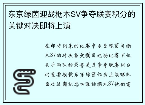 东京绿茵迎战枥木SV争夺联赛积分的关键对决即将上演